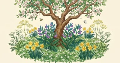 Pencil-illustrated overhead view of a mature backyard apple tree in late-spring bloom with a permaculture guild of comfrey, daffodils, white clover, yarrow, and dill planted in concentric rings around the trunk.