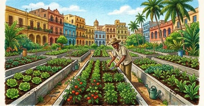 Pencil-crayon illustration of a Havana organoponico urban garden with concrete-walled raised beds of lettuce, tomatoes, and herbs, a worker tending the beds, colonial Cuban buildings and palm trees in the background