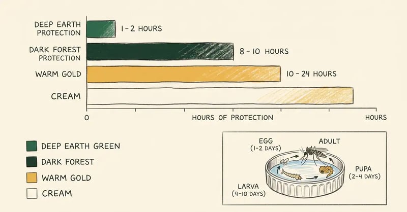 Infographic comparing hours of mosquito protection by repellent type above a mosquito life cycle loop in a container of water