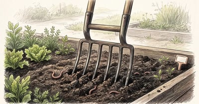 Colored-pencil illustration of a broadfork standing in a freshly loosened garden bed