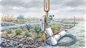 Min-max thermometer at plant height in a frosted vegetable bed with a rolled length of row cover and wire hoops beside it