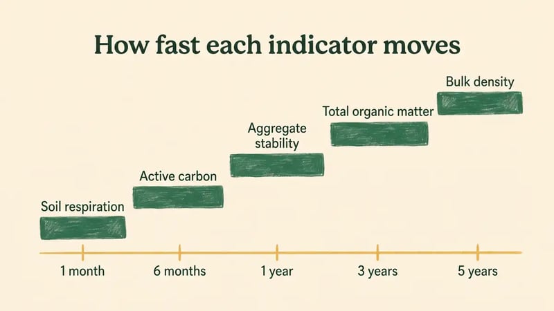 Chart comparing how fast soil health indicators respond, from soil respiration in months to bulk density over five years
